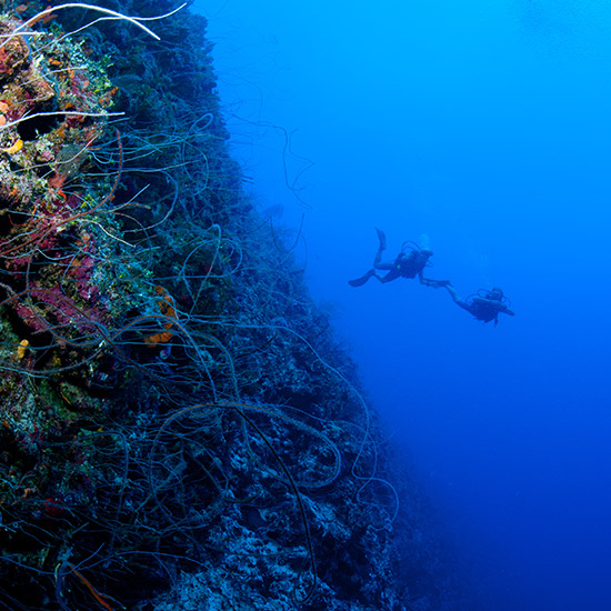 vast-underwater-ocean