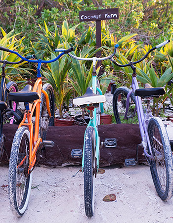 bikes parked by the beach