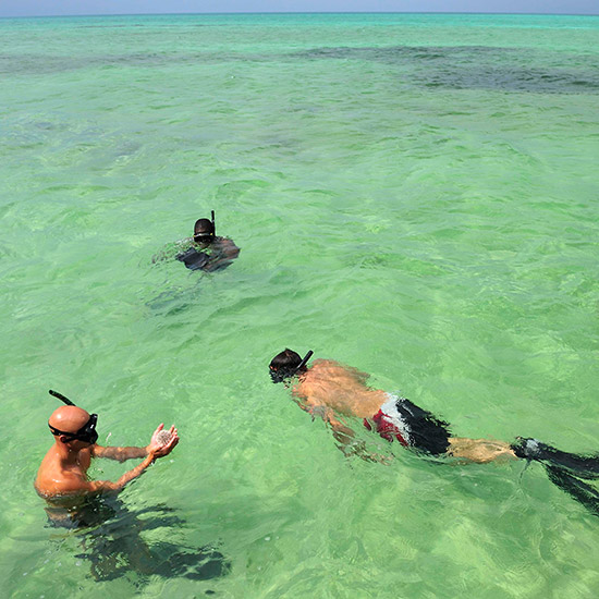 snorkelers-on-shore