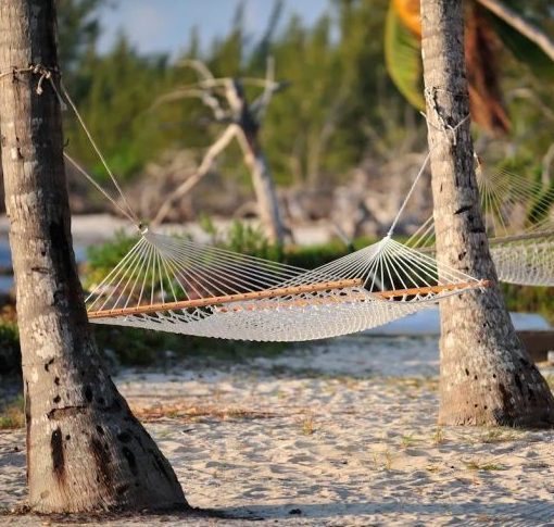Hammock