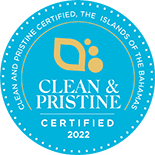 Clean and Pristine Logo