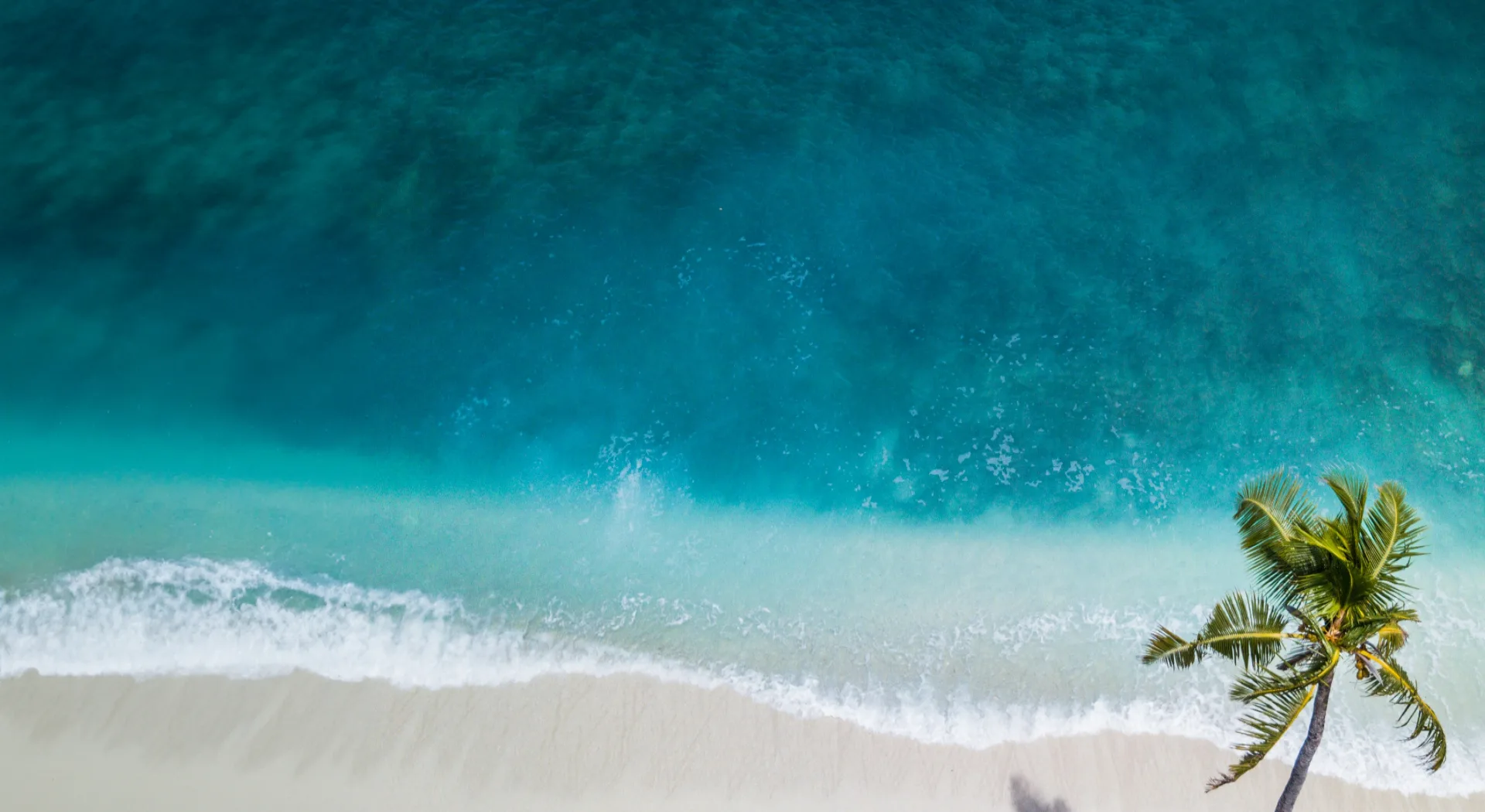 Desktop Background