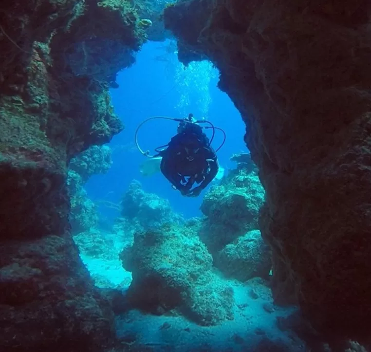 Inset Image